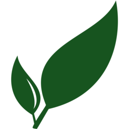 Oracle logo