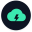 Falcon Surface Logo