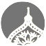Falcon Surface Logo
